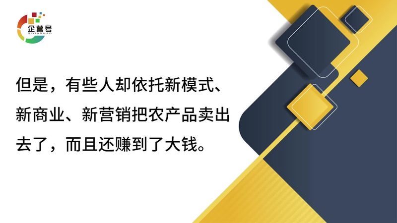 揭秘网络营销培训：月费成本背后的价值考量